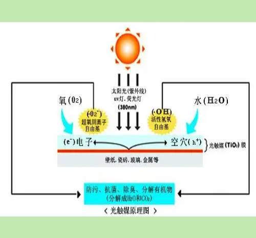 ����ȩ��Ʒ���ⴥý